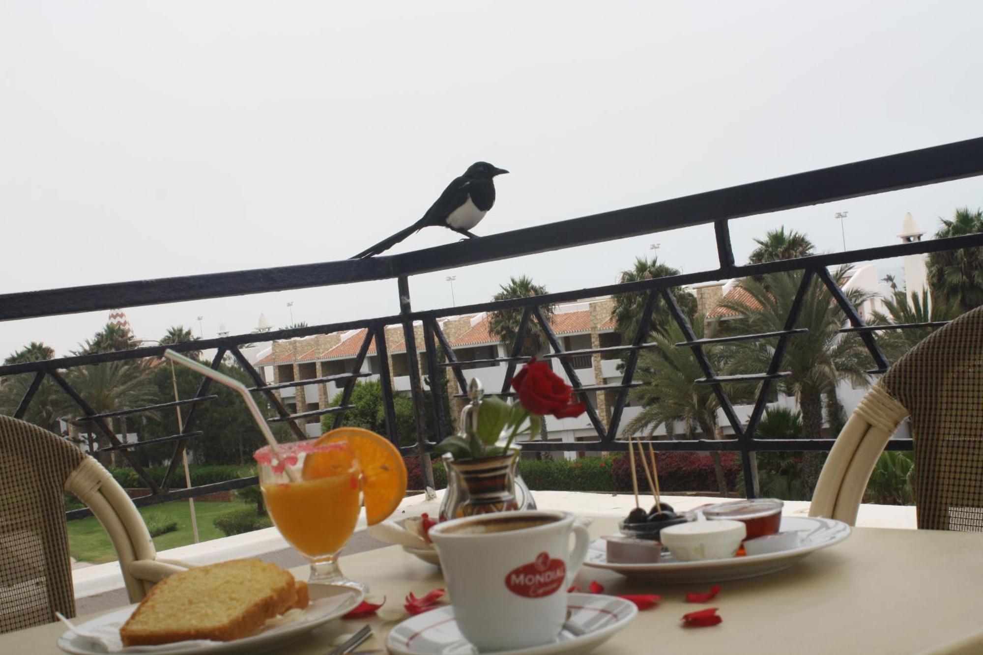 Golden Beach Appart'Hotel Agadir Bilik gambar